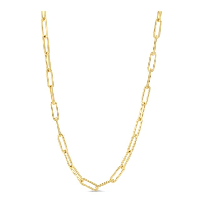 Large Paperclip Chain