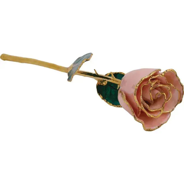 24k Gold Trim Real Rose