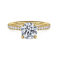 14K Yellow Gold  Multi-Stone Engagement Ring