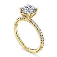 14K Yellow Gold  Multi-Stone Engagement Ring