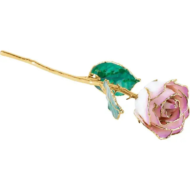 24k Gold Trim Real Rose
