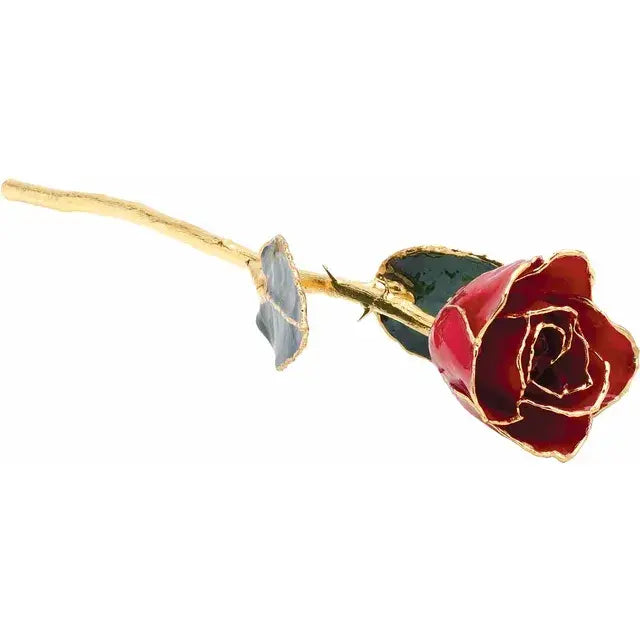 24k Gold Trim Real Rose