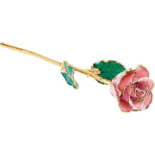 24k Gold Trim Real Rose