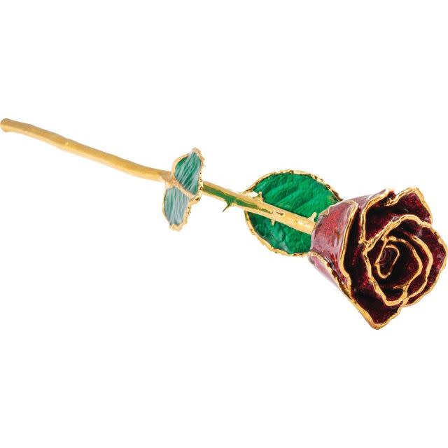 24k Gold Trim Real Rose