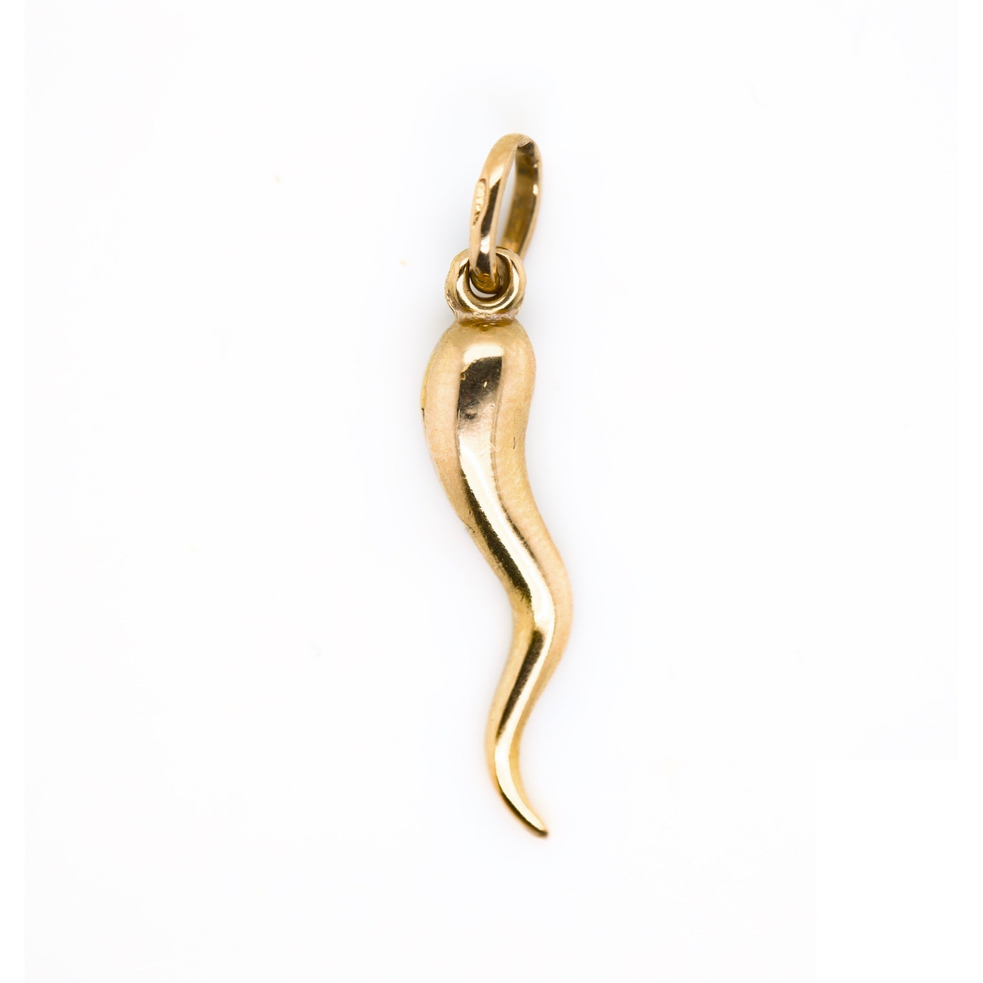 Italian Horn Pendant