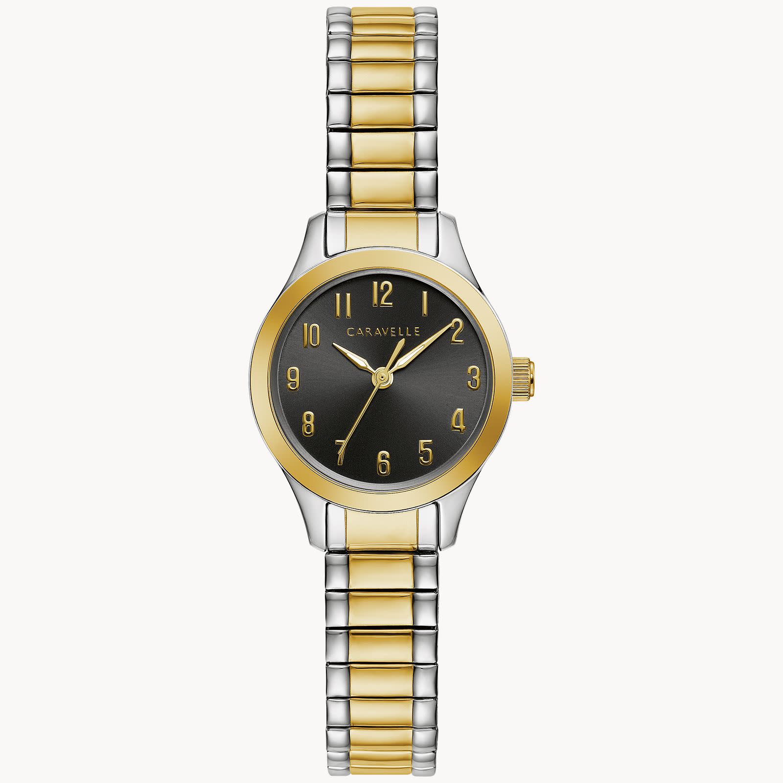 Two-Tone Watch